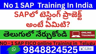 SAP Testing project Realize Phase  S4HANA +ECC // SAPలో టెస్టింగ్ ప్రాజెక్ట్ అంటే ఏమిటి?