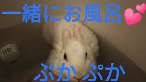 ガラスのうさぎ 入浴 Mp3