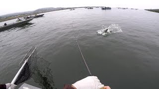 Salmon Fishing in Gold Beach Oregon