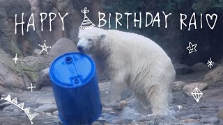 Polar Bear Lai's 1st Birthday Event | Playing with Blue Drum - YouTube