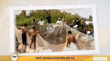 QUÁ CHỪNG NHIỀU CÁ MỖI KHI DÂN MIỀN TÂY CHỤP ĐÌA
