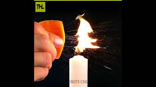 Watch Till The End for the Real Twist 🤯 | Mind-Blowing Science Tricks