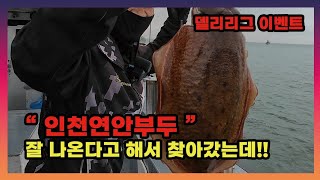 인천 연안부두 실전 봄 산란 갑오징어 낚시, 잘나온다고요? 극악의 확률게임 조행기 + 델리리그 이벤트