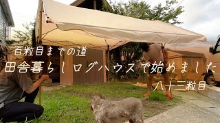 【田舎暮らしログハウス】30歳女ルーティーン|カインズタープ｜庭いじり｜水槽リセット