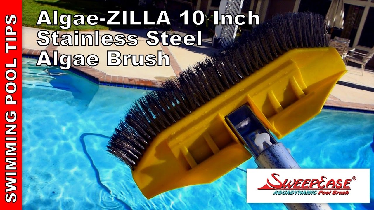 AlgaeZILLA 10" Stainless Steel Algae Brush by SweepEase YouTube