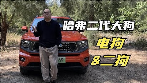【集车】哈弗二代大狗试驾（电狗）（二狗） - 天天要闻