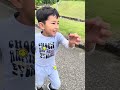 #insects