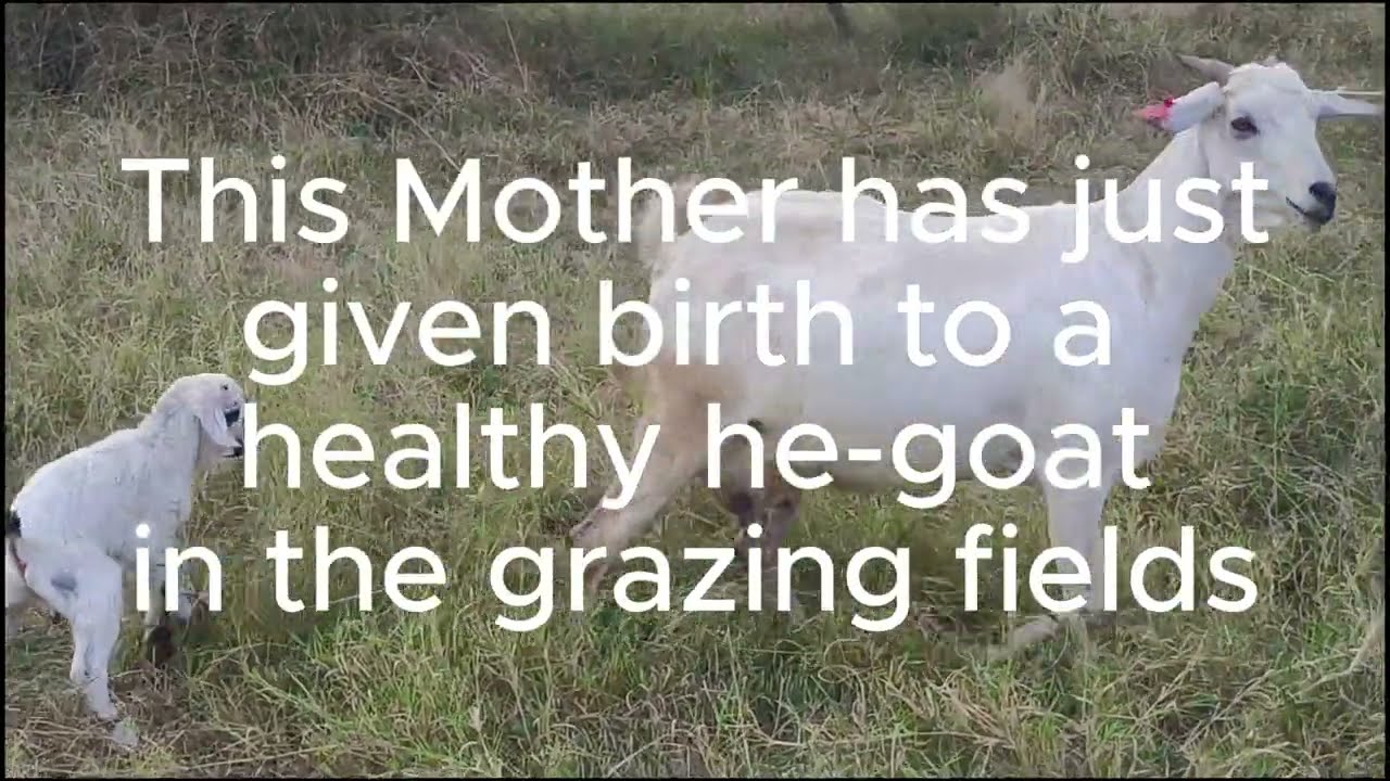 Mother Nature