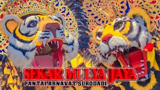 PERESMIAN PANTAI ARNAVAT SURODADI!!! BARONGAN SEKAR MULYA JAYA TERBARU 2024