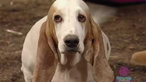 All Week Of Sing and Dance with Barney (Screener) (All Week Version) Part 129