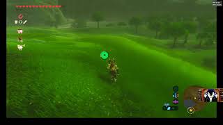 Zelda Breath Of The Wild PC Twilight Relic