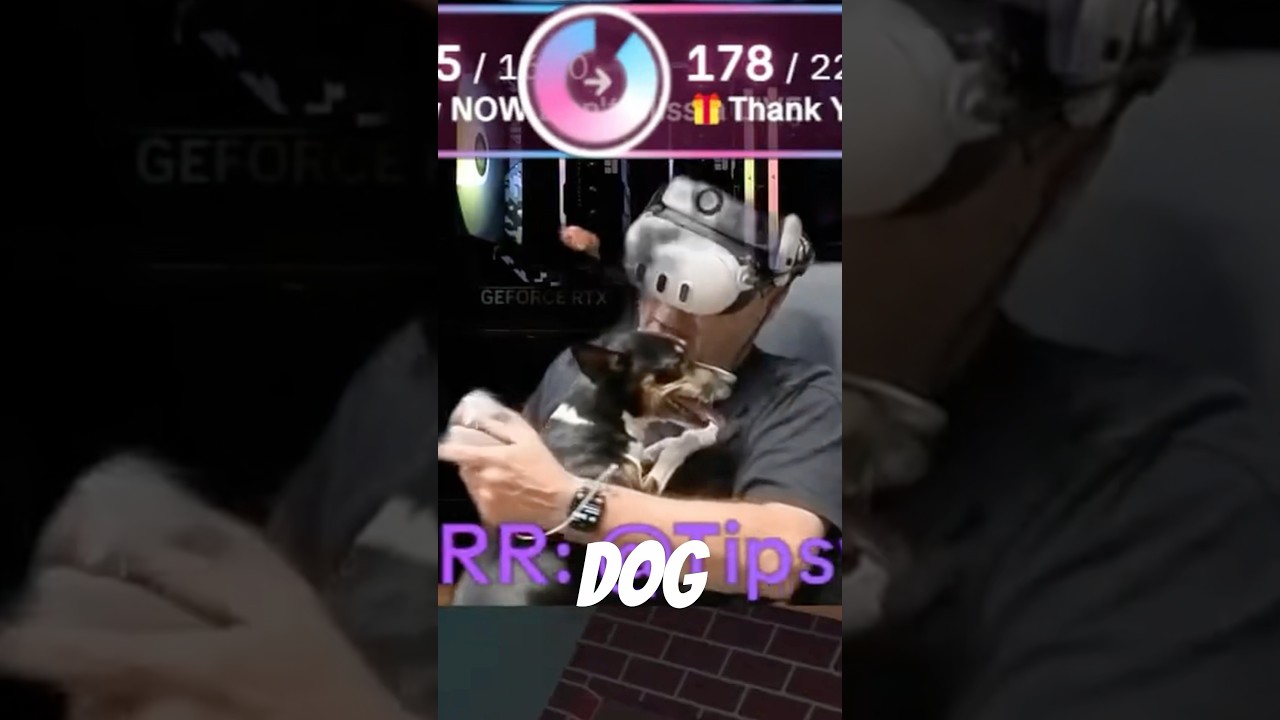 🐶 Tore up from the floor up 🕹️ 