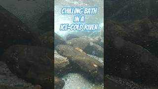 Bathing In The Deep Blue River The Coldest Bath.