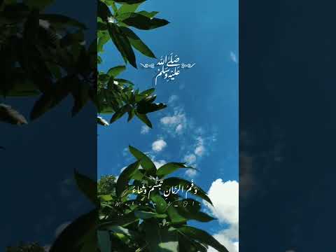 حالات للمولد النبوي ولد الهدى فالكائنات ضياء حسين الجسمي