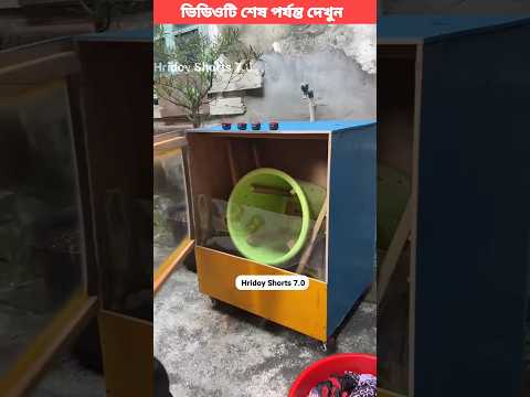 দাদীকে ওয়াশিং মেশিন বানিয়ে দিলাম😍 woodworking art skill-woodwoorking toy #shorts #viral #trending