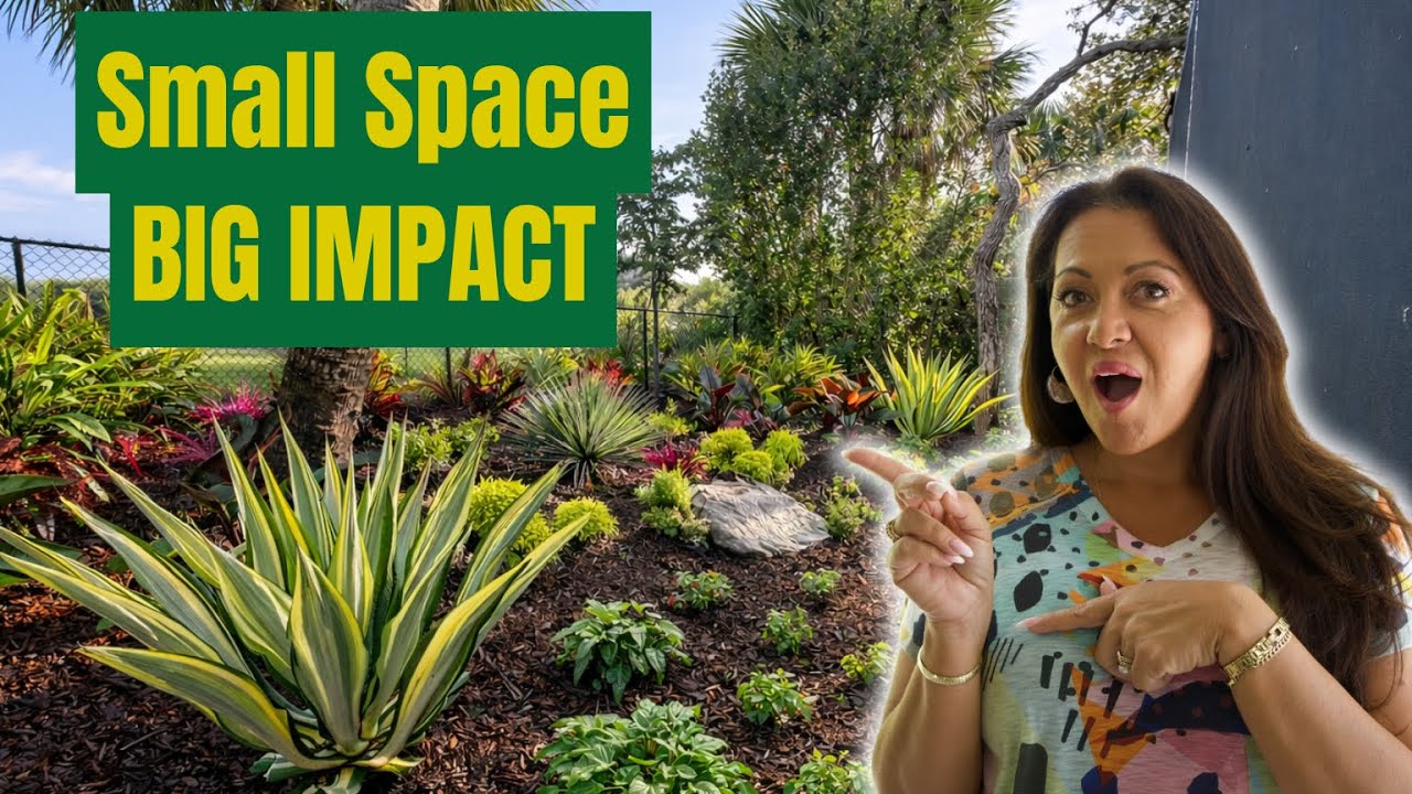 How I Create Instant Tropical Impact in a Small Space - Low Maintenance & Fertilization Tips