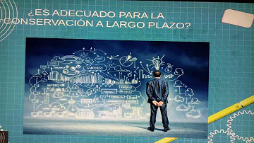 Qual formato MPEG4?