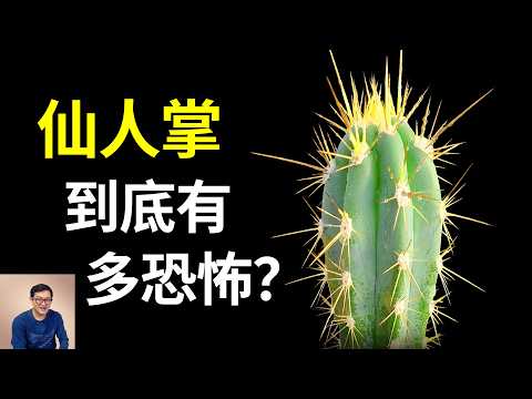世界上最恐怖的入侵植物，仙人掌最驚人的那些秘密！堪稱植物界的駱駝，仙人掌果（刺梨）和火龍果什麼區別？【老肉雜談】#生物 #植物 #仙人掌 #知識 #科普