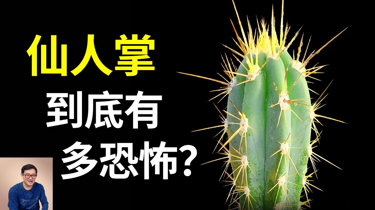 世界上最恐怖的入侵植物，仙人掌最驚人的那些秘密！堪稱植物界的駱駝，仙人掌果（刺梨）和火龍果什麼區別？【老肉雜談】#生物 #植物 #仙人掌 #知識 #科普