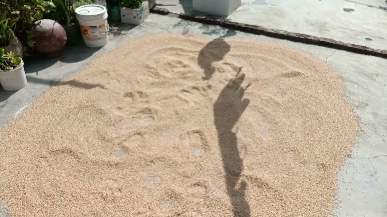 ✨ आज इतने दिनों बाद सूर्य देवता के दर्शन 🌤️☀️#daily vlogs# madhu's family vlogs # viral 