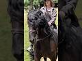 Vegas was incredibly tired that day, and I feel really bad about that. #horse #horseriding #riding