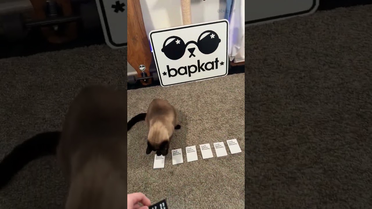 Cards Against Humanity