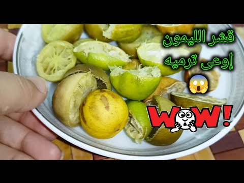 الليمون المعفن البايظ هيوفرلك في مصروف بيتك كتييير