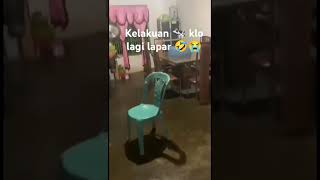 sapi tetangga ngk tau diri