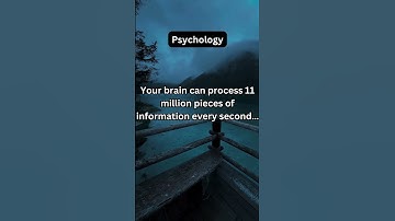 "Your Brain Processes 11 Million Pieces of Info Every Second! 🤯🧠"