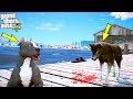 YAVRU PİTBULL ABİSİ KAOS'U VAHŞİ ÇAKAL SÜRÜSÜNDEN KURTARIYOR! - GTA 5