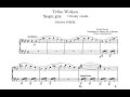 Miniature de la vidéo de la chanson Nuages Gris, S.199