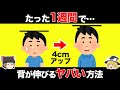 【ゆっくり解説】たった1週間で4cmも背が高くなる禁断の方法【寝たままできる】