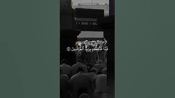 فما ظنكم برب العالمين "سورة الصافات"