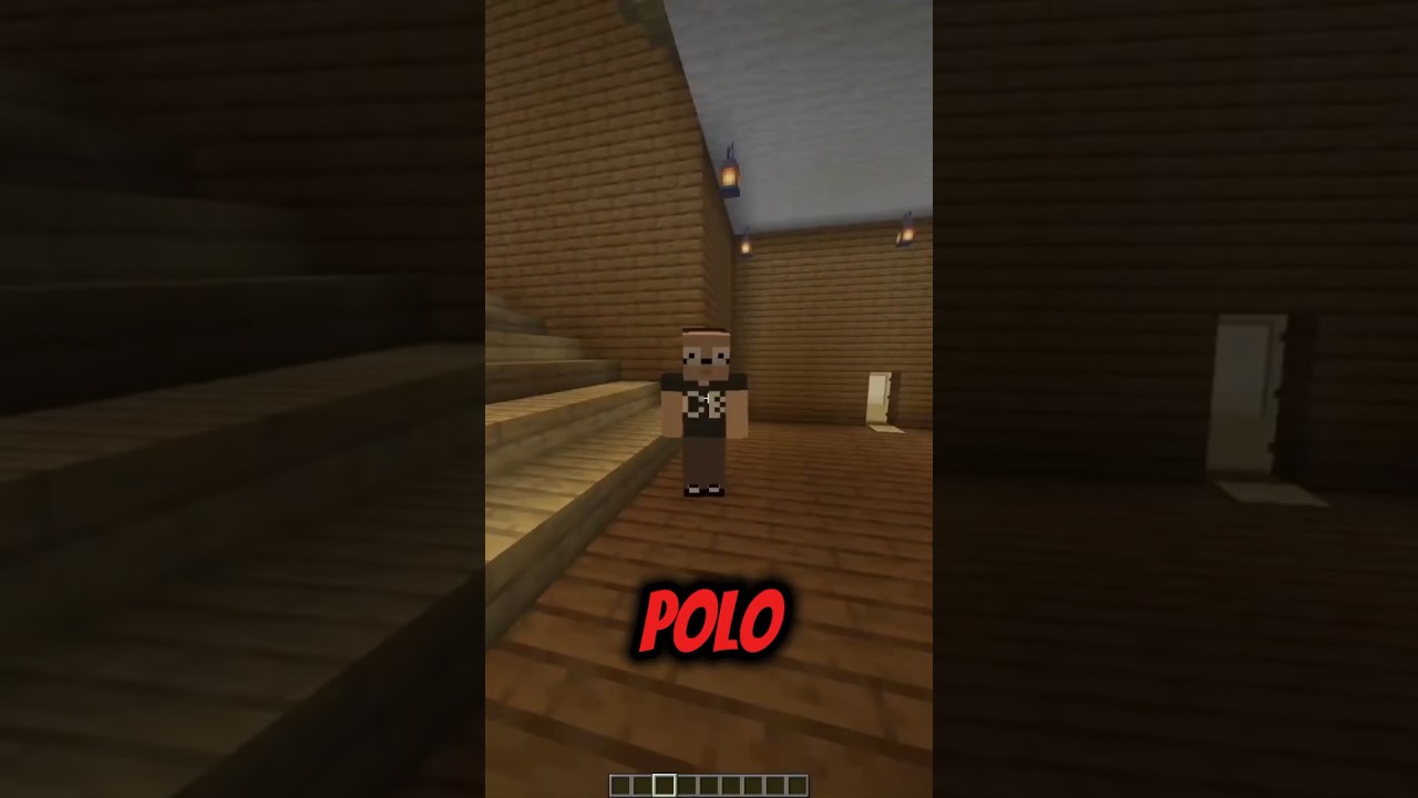 J'ai rencontré Polo sur minecraft... 