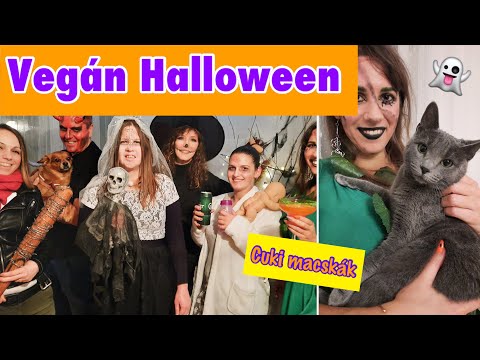 Cuki macskák | Halloween VLOG