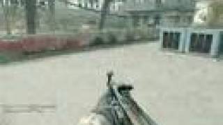 Cod4 Mp44