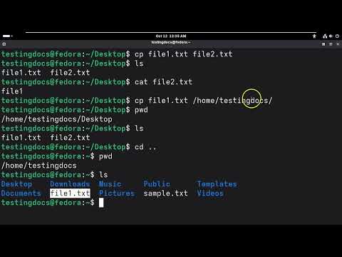 Linux cp command