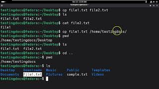 Linux cp command