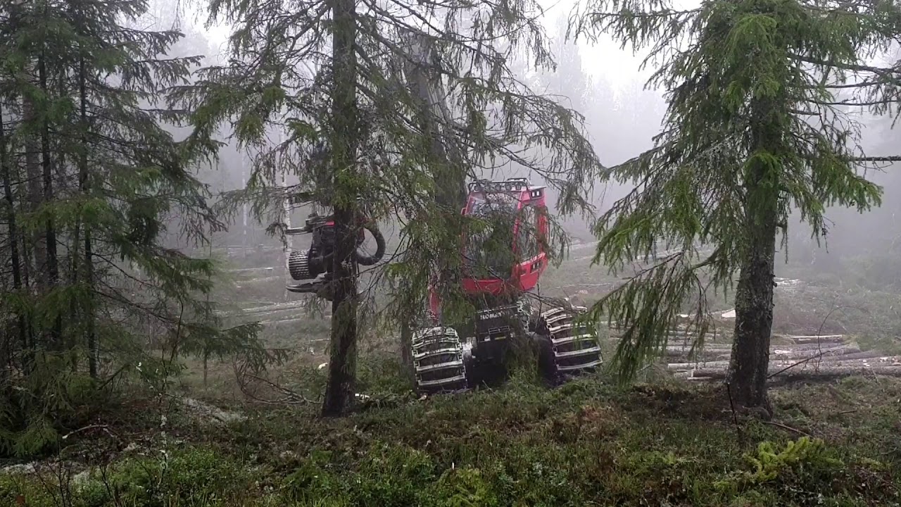 Komatsu 911 S92 clearfell