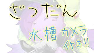 【雑談】水槽見ながら飲酒するだけのやつ