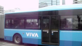 Viva 2008 VanHool AG300 #8209