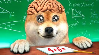 I took an IQ test... screenshot 2