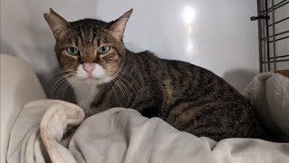 武蔵に本当の幸せを教えるポンさん