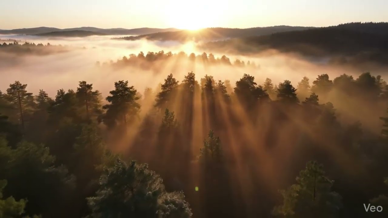 432Hz Ethereal Sanctuary: Cinematic Neoclassical for Deep Focus & Study