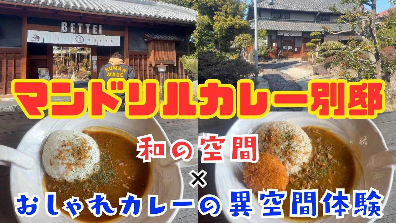 【保育園栄養士の休日】え、ここ本当にカレー屋！？マンドリルカレー別邸に行ってきました！