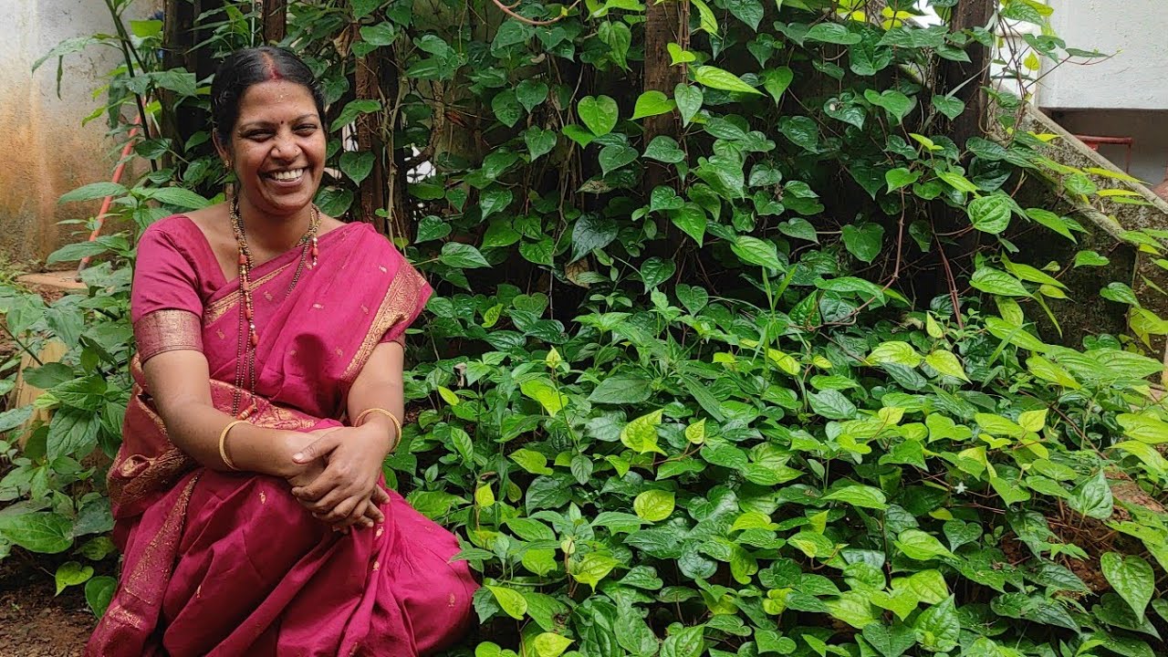 ದ್ರೌಪದಿ ವಸ್ತ್ರಾಯಣ in ಕೊಂಕಣಿ## Draupadi Vastrayana in Konkani