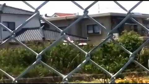 Bye Bye Apprentice S 15e. You will be missed