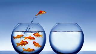 Teamwork 101 GROUPTHINK powerpoint mp4 school presentation