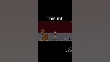 Wandering Trader Meme #short