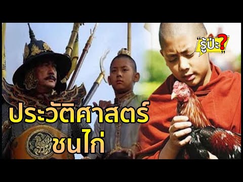 ประวัติศาสตร์ ชนไก่ กีฬาพื้นบ้านที่เล่ากันว่าสมเด็จพระนเรศวรทรงชนะพระมหาอุปราช